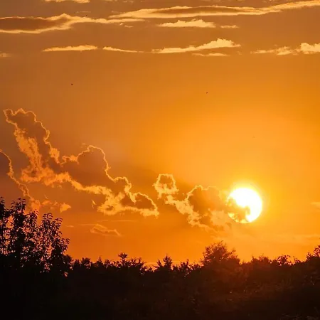 за гости гаван *