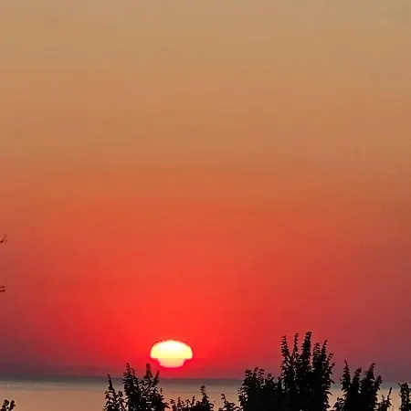 за гости гаван *