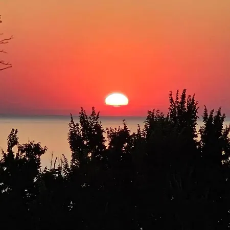 за гости гаван * Бяла