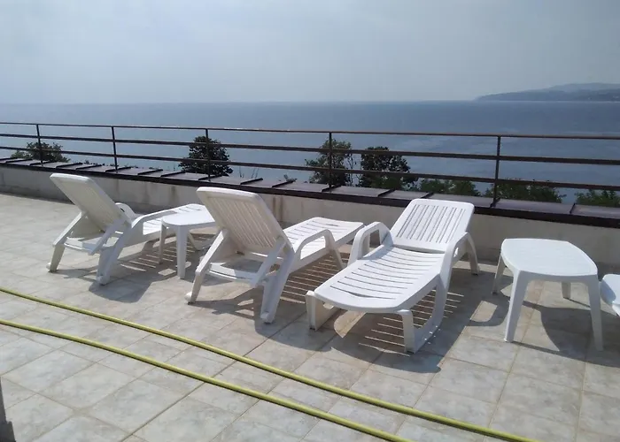 за гости гаван *